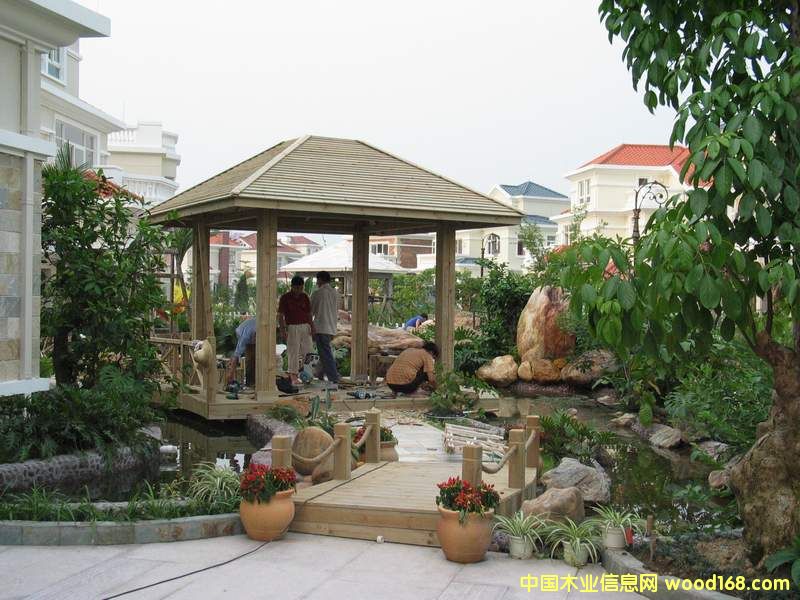 ��ͤ��Ԕ��(x��)��B