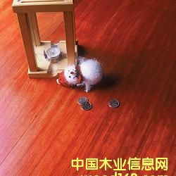 ���挍(sh��)ľ��(f��)�ϵذ��Ԕ��(x��)��B