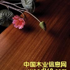 �A�P����(sh��)ľ��(f��)�ϵذ��Ԕ��(x��)��B