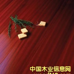 ɯ����?q��)�ľ�ͺϵذ? title=