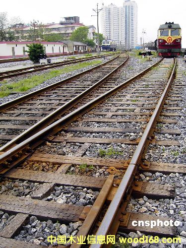 ������ľ��Ԕ��(x��)��B