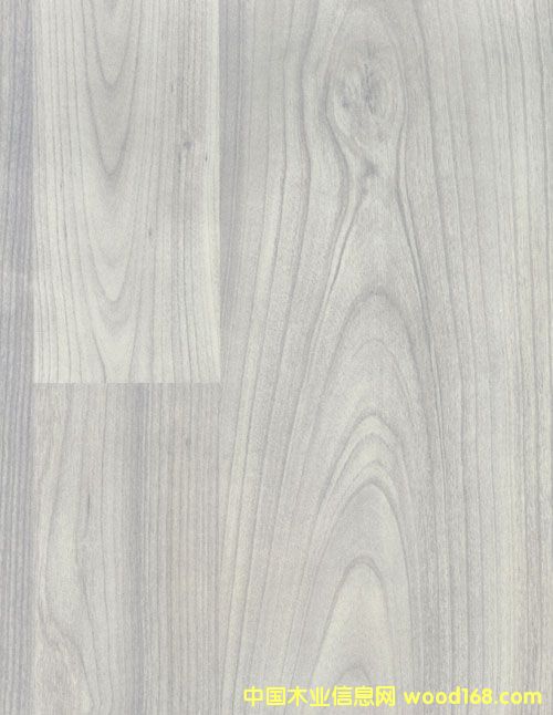 ��Ȼ���L(f��ng)����(qi��ng)���ذ��Ԕ��(x��)��B