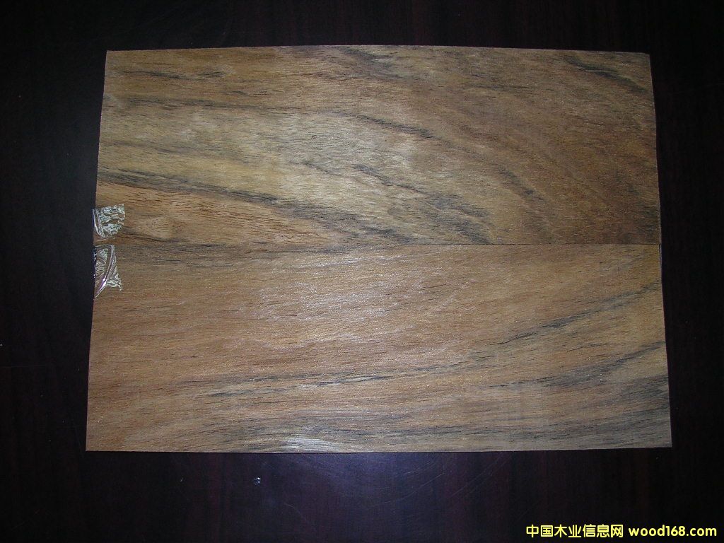 ����ľƤ��Ԕ����B