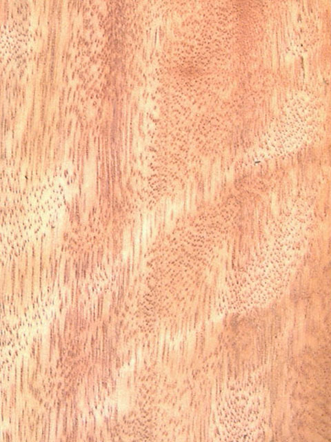 ����Ӱ (��������l(w��i)ì)cupiuba(Q)��Ԕ����B