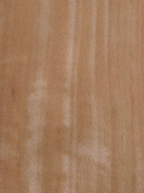 ������Ӱ����(�t���y)moabi(Q)��Ԕ����B