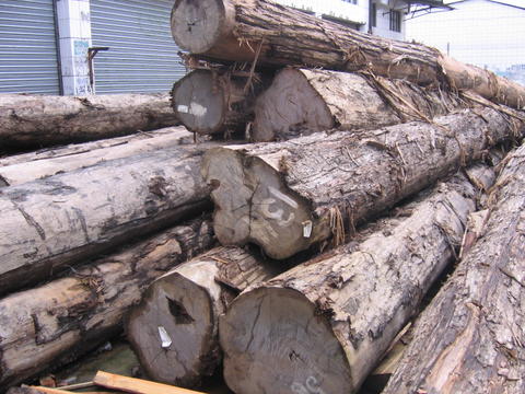 ԭľ��Ԕ��(x��)��B