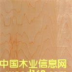 ��ľ�N����Ԕ��(x��)��B