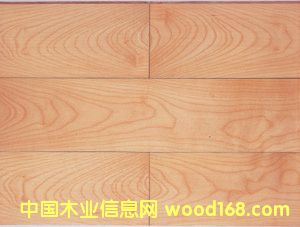 ��ľ��(sh��)ľ��(f��)�ϵذ��Ԕ��(x��)��B