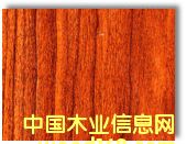 ���Ἀ��Ԕ��(x��)��B