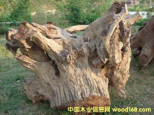 �t��֭A��Ԕ��(x��)��B