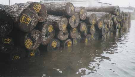 ������̴ľ��Ԕ��(x��)��B