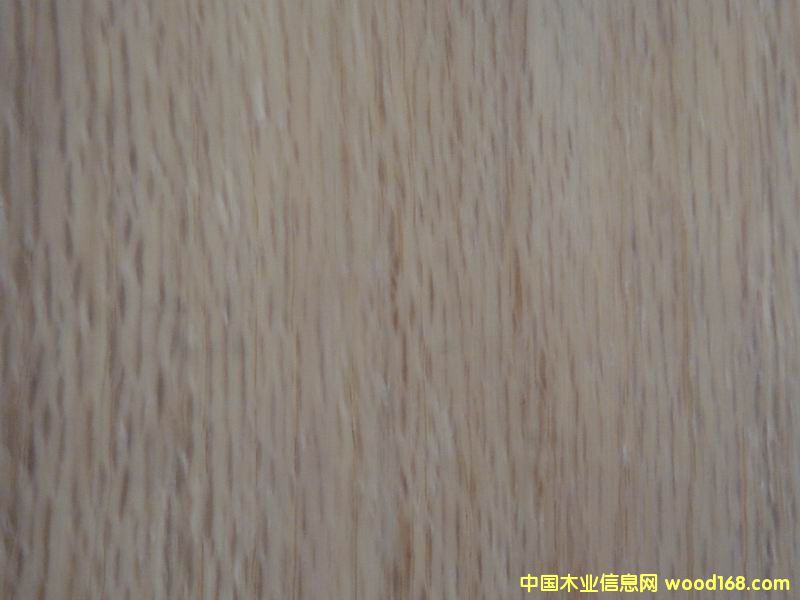 ����ľ��Ԕ����B