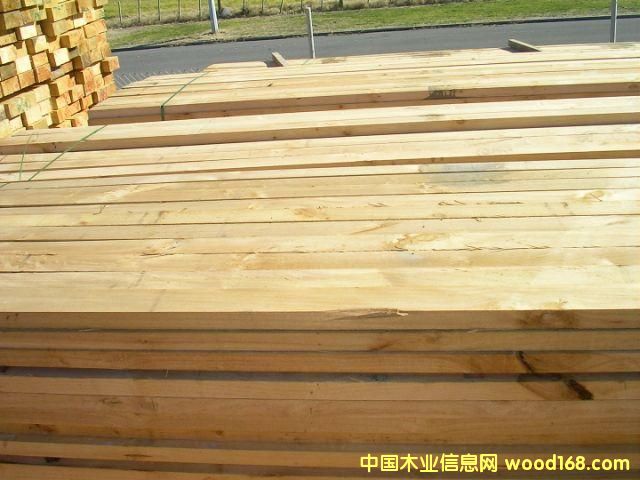 �����m��ľ���