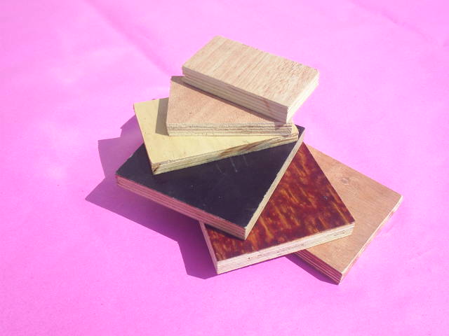 ����ģ���Ԕ����B