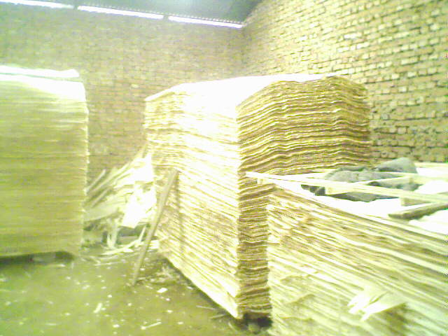 ��ľ���N���eƤ��Ԕ��(x��)��B