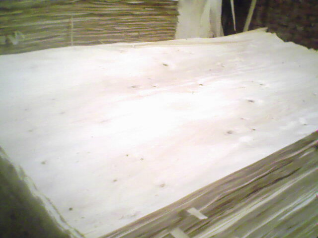 ��ľ���N���eƤ��Ԕ��(x��)��B