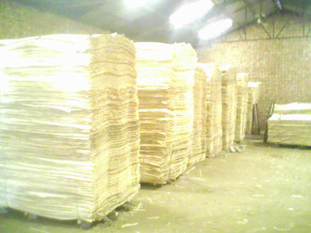 ��ľ���N���eƤ��Ԕ��(x��)��B