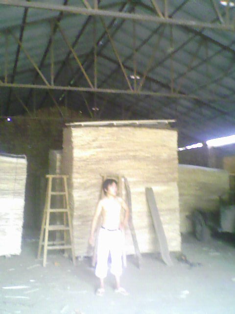 ��ľ���N���eƤ��Ԕ��(x��)��B