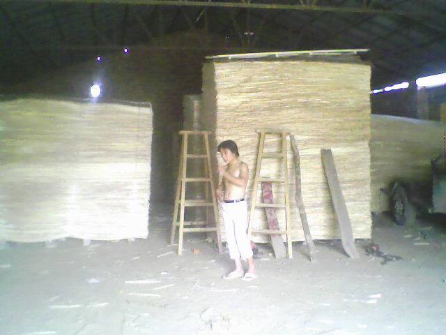 ��ľ���N���eƤ��Ԕ��(x��)��B