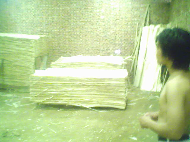 ��ľ���N���eƤ��Ԕ��(x��)��B