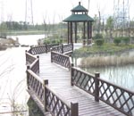 ����ľ�ĵ�Ԕ��(x��)��B