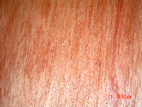 ���Іΰ��Ԕ��(x��)��B