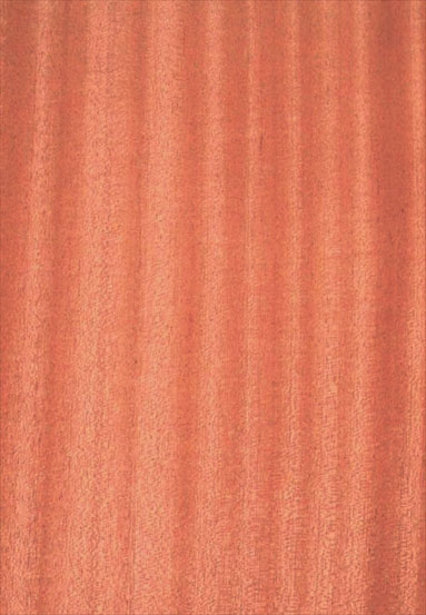 ����(y��ng)-ɳ�����N����Ԕ��(x��)��B