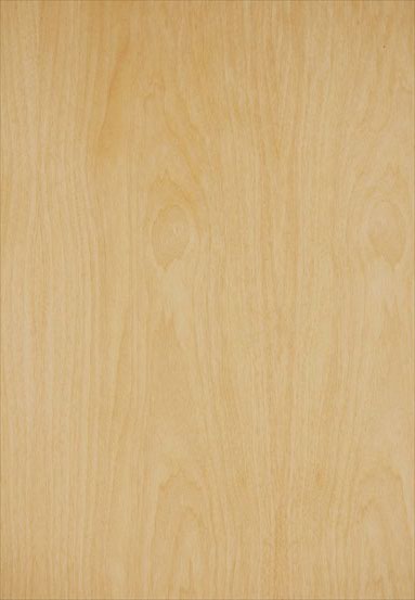 ����(y��ng)-��ʿ�m�����N����Ԕ��(x��)��B