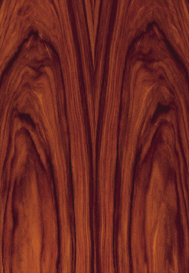 ����(y��ng)-������֦�����Ԕ��(x��)��B