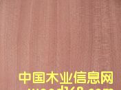 ��Ȼɳ������Ԕ����B