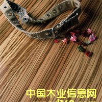 �h(yu��n)���b��Ͽ���ϵ�ж��ӌ�(sh��)ľ�ذ壨���Rľ����Ԕ��(x��)��B