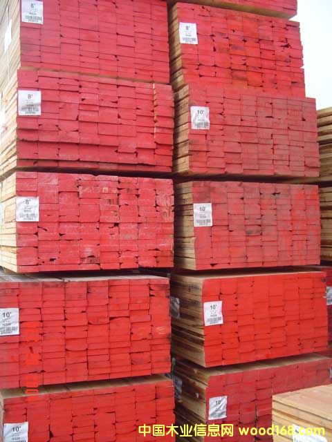 ������������ľ��Ԕ����B