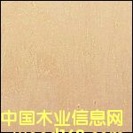 �һ���(�W����)������Ԕ����B