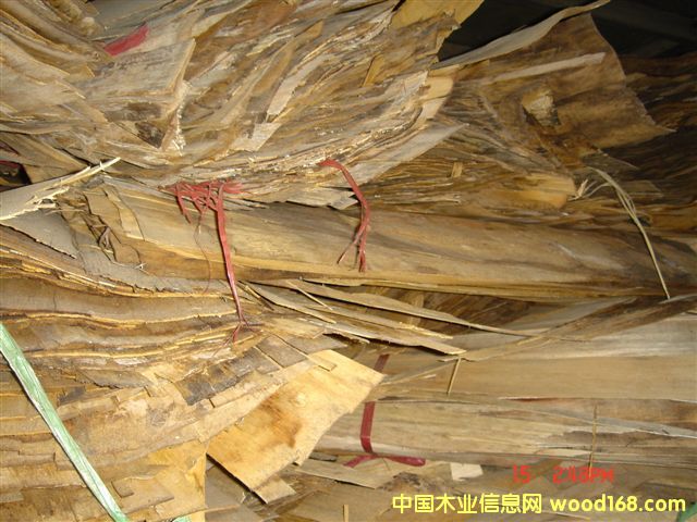 �z�ϰ�; ľƤһ����Ԕ��(x��)��B