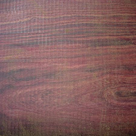 �t��֦��Ԕ����B