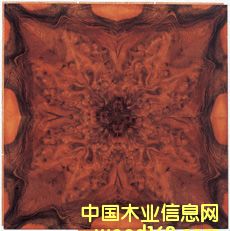 �����(g��)�Եذ��Ԕ��(x��)��B