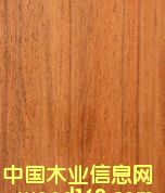 Jatoba���Z�аͣ���Ԕ����B