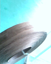 ľƤ��߅�l��Ԕ��(x��)��B