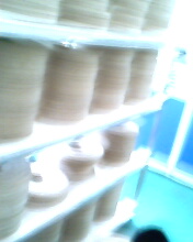 ľƤ��߅�l��Ԕ��(x��)��B