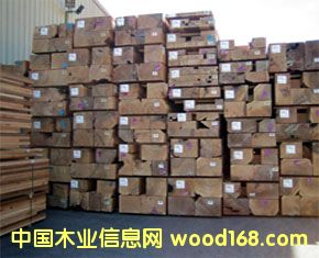 �tѩ�ɵ�Ԕ��(x��)��B