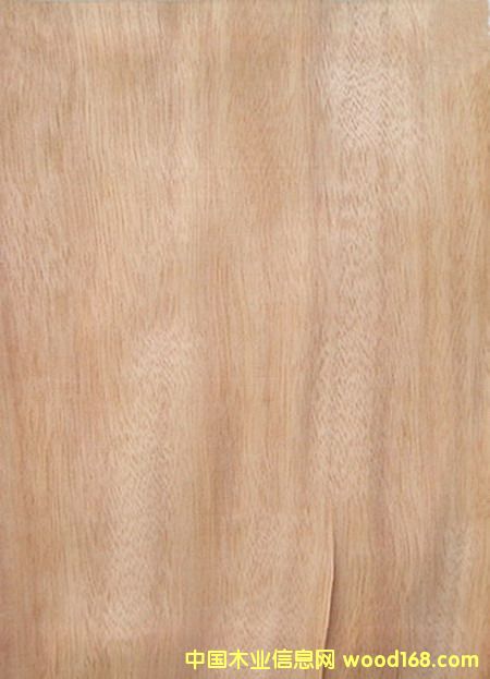 �W����(�һ�о)�����Ԕ����B