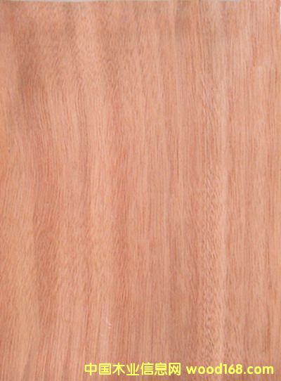 �W����(�һ�о)�����Ԕ����B