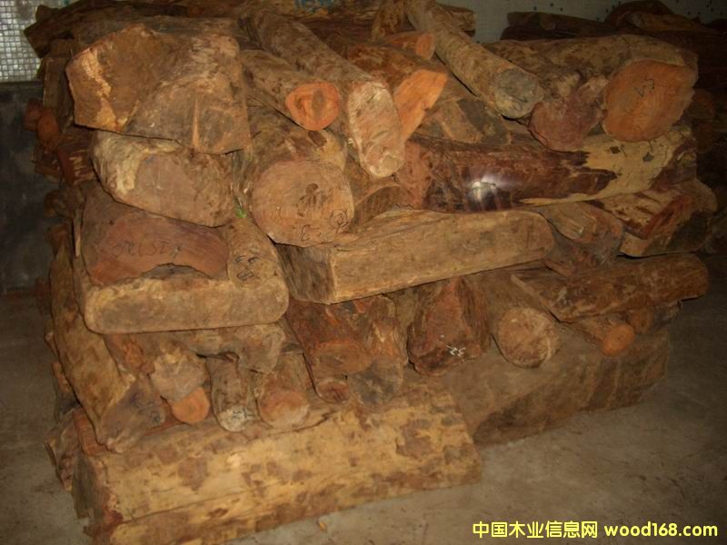 ԭľ��Ԕ��(x��)��B