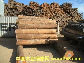 ���ԭľ��Ԕ����B