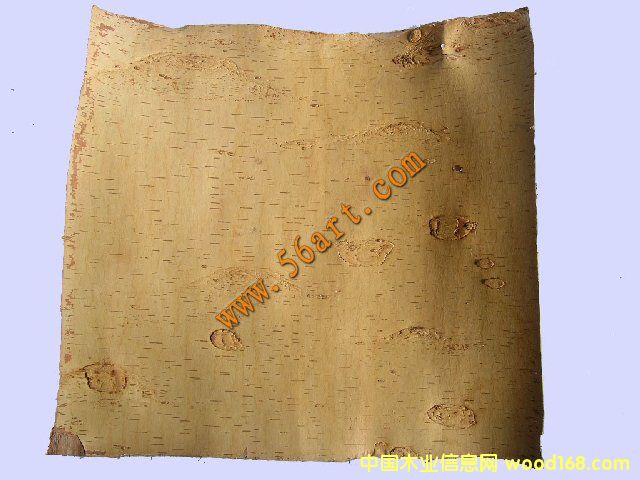 ���Ƥ��Ԕ��(x��)��B