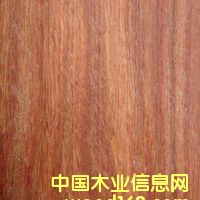 �R�_(d��)��˹���Fľ����Ԕ��(x��)��B