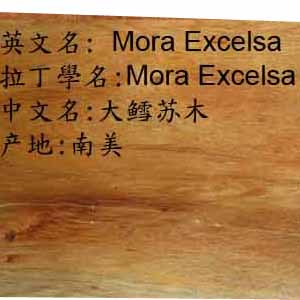 ������Ԕ����B