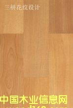 �ذ��Ԕ��(x��)��B