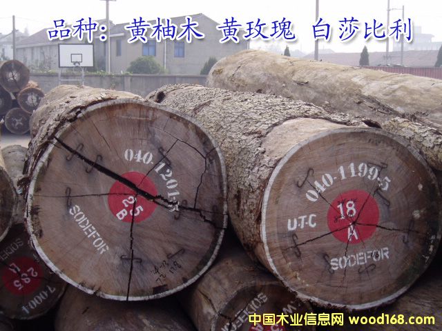 �S��ľ�Sõ���ɯ������Ԕ��(x��)��B