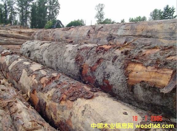 ���ô���ɼ��Ԕ��(x��)��B